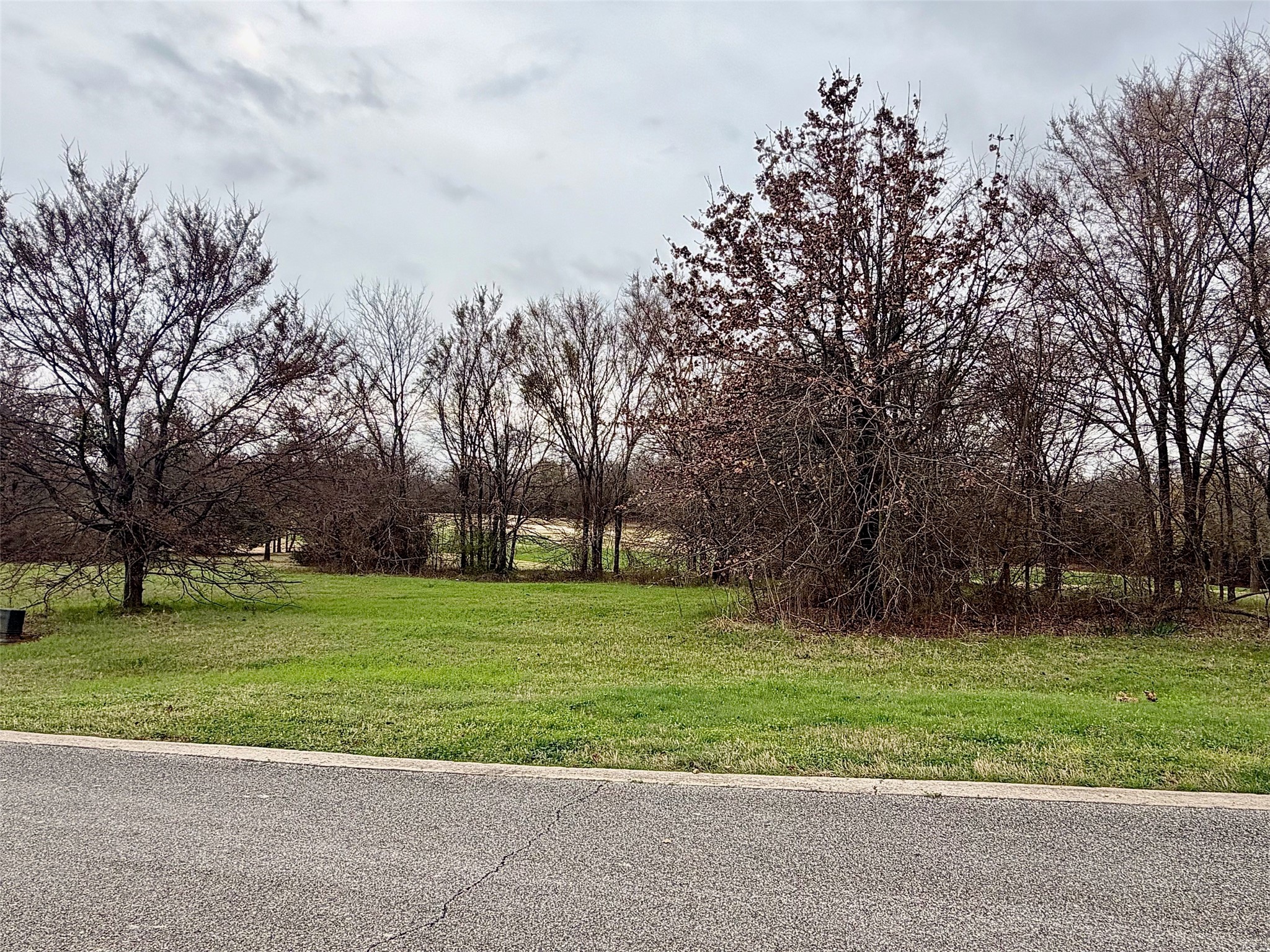 126 Roaring Fork Circle Gordonville TX 76245