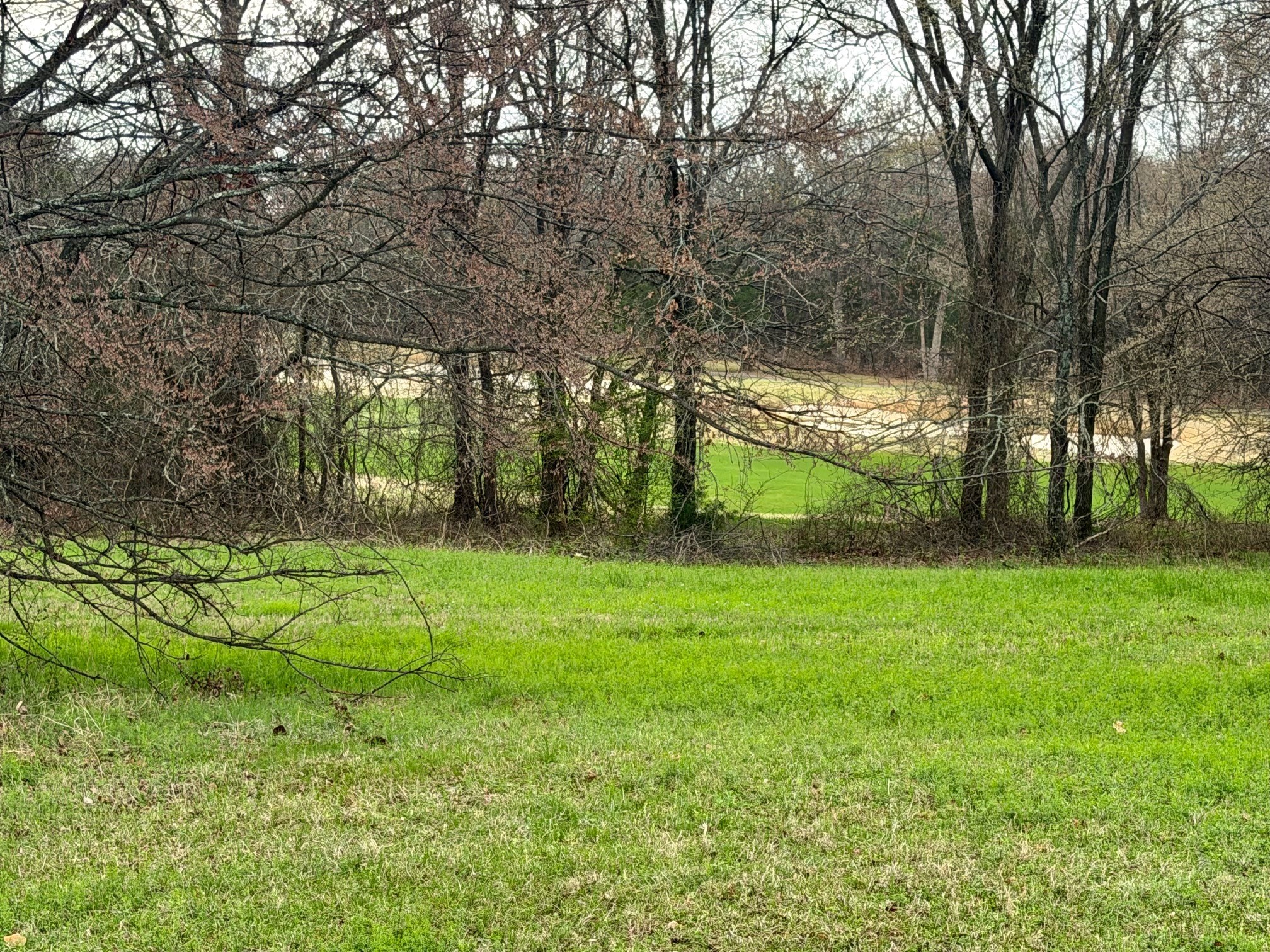 126 Roaring Fork Circle Gordonville TX 76245