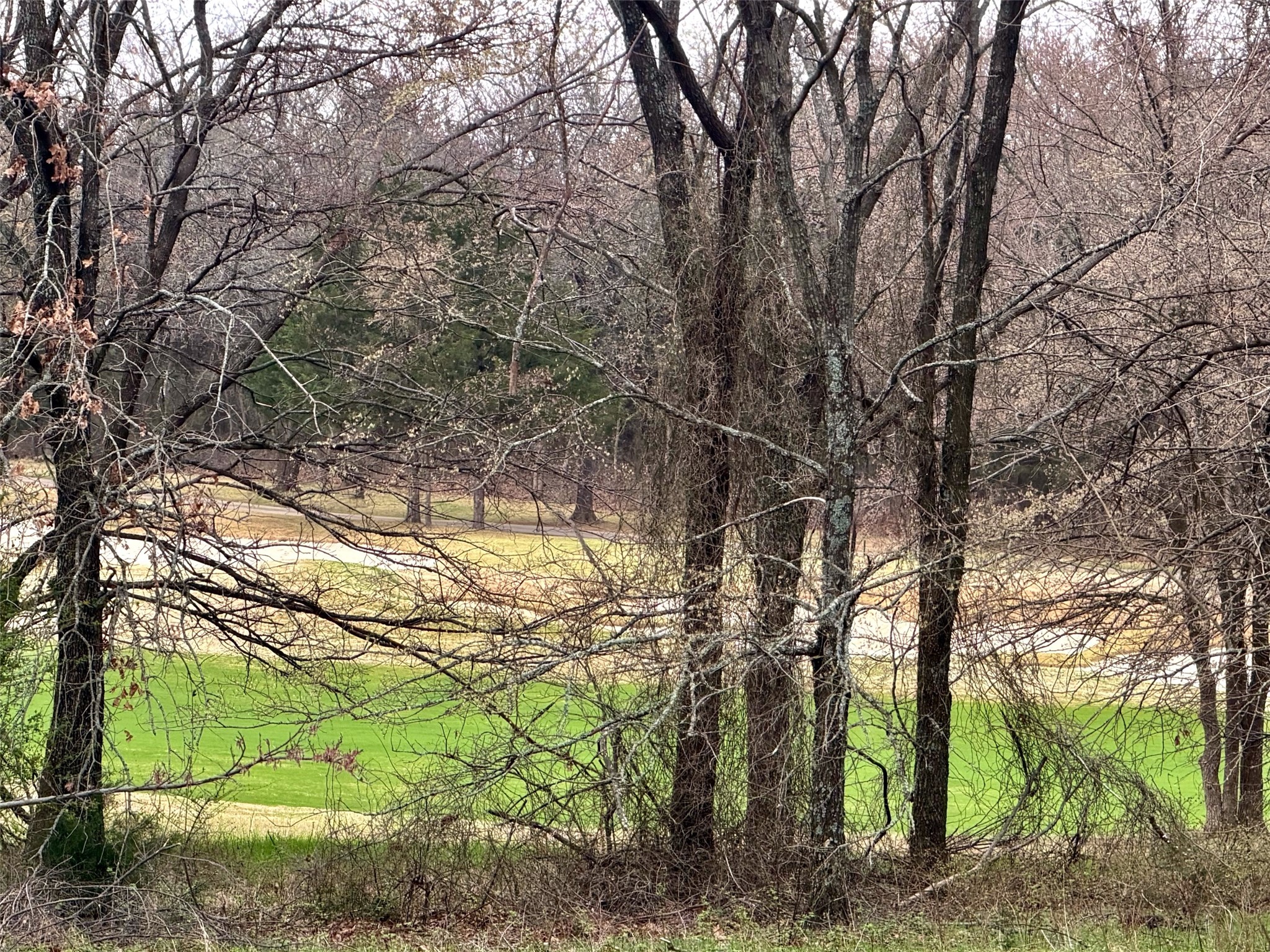 126 Roaring Fork Circle Gordonville TX 76245