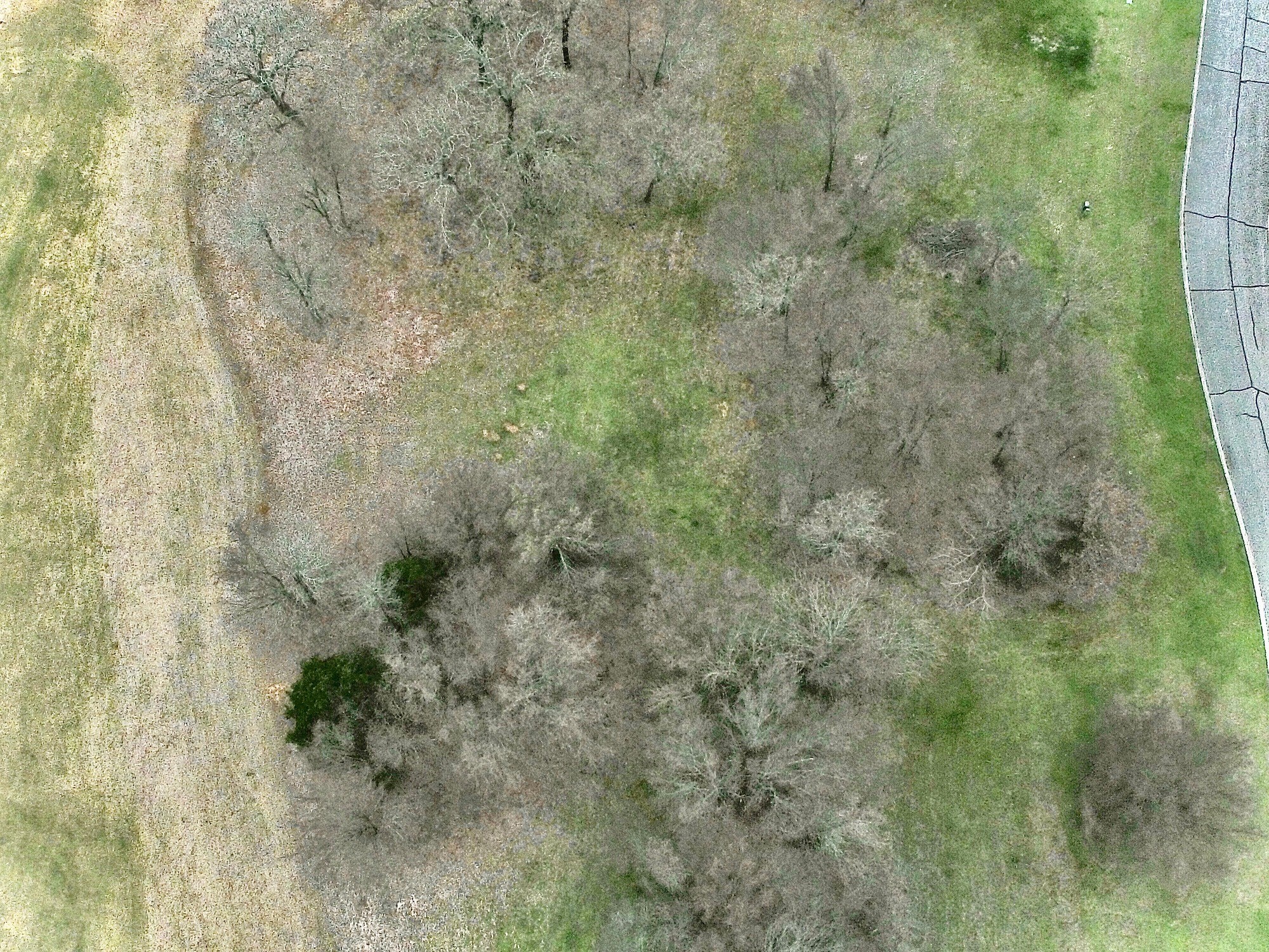 126 Roaring Fork Circle Gordonville TX 76245