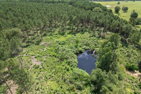 Tbd County Road 3706 Tenaha TX 75974