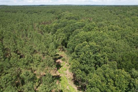 Tbd County Road 3706 Tenaha TX 75974