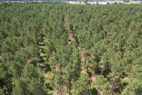 Tbd County Road 3706 Tenaha TX 75974