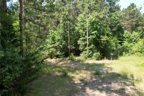 Tbd County Road 3706 Tenaha TX 75974