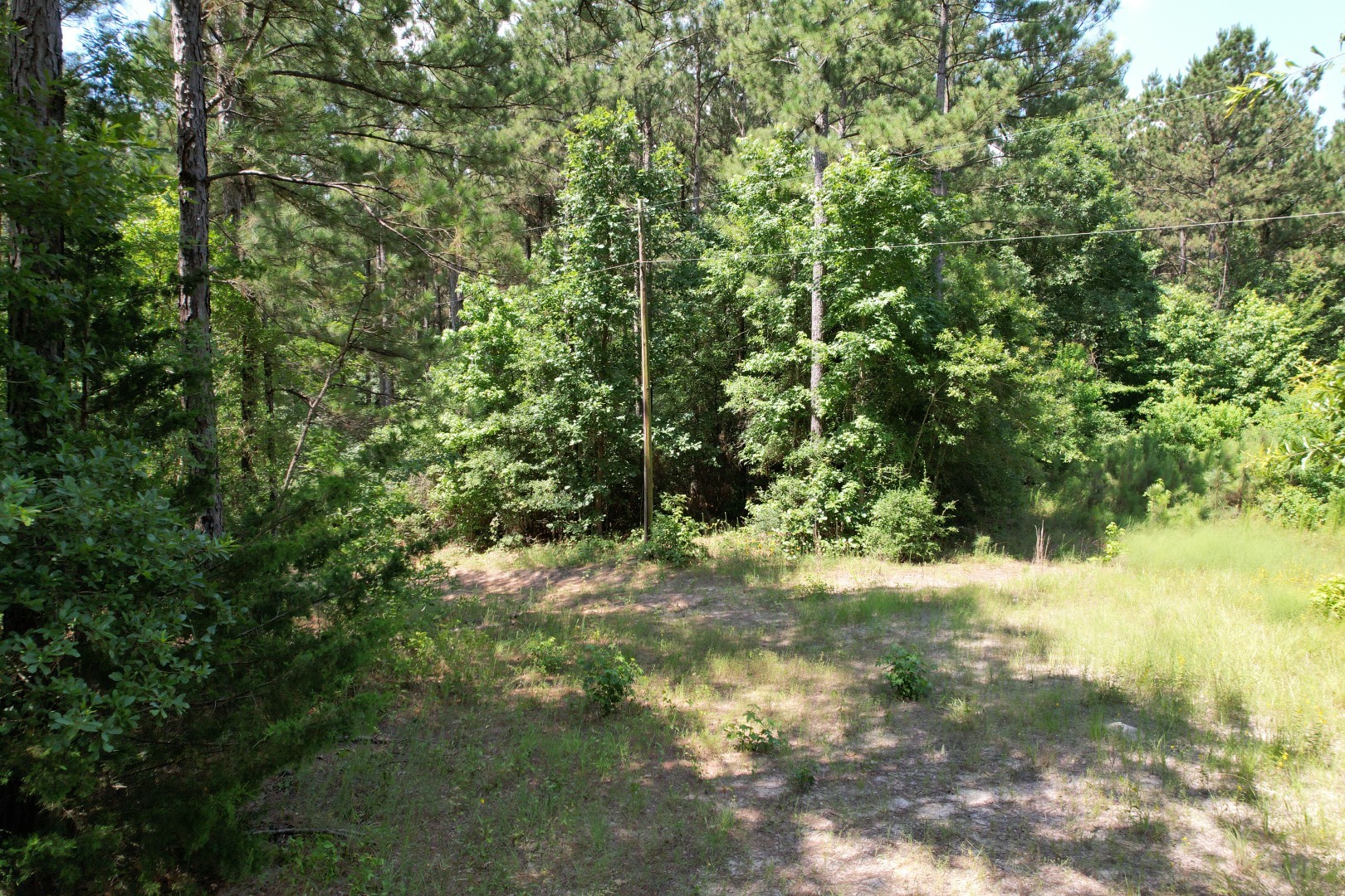 Tbd County Road 3706 Tenaha TX 75974