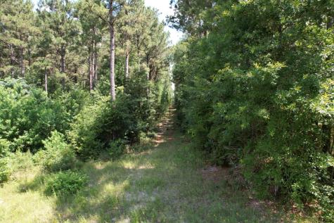 Tbd County Road 3706 Tenaha TX 75974