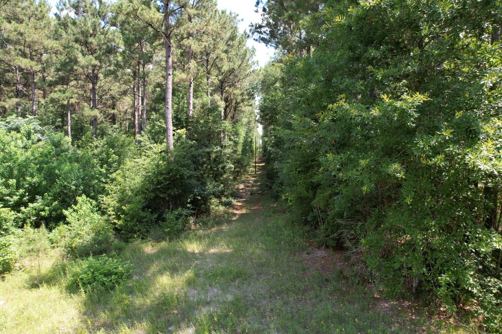 Tbd County Road 3706 Tenaha TX 75974
