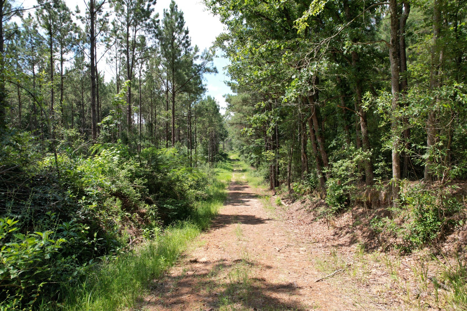 Tbd County Road 3706 Tenaha TX 75974