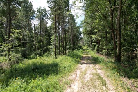 Tbd County Road 3706 Tenaha TX 75974