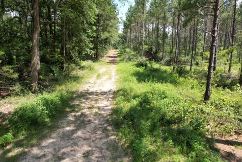 Tbd County Road 3706 Tenaha TX 75974