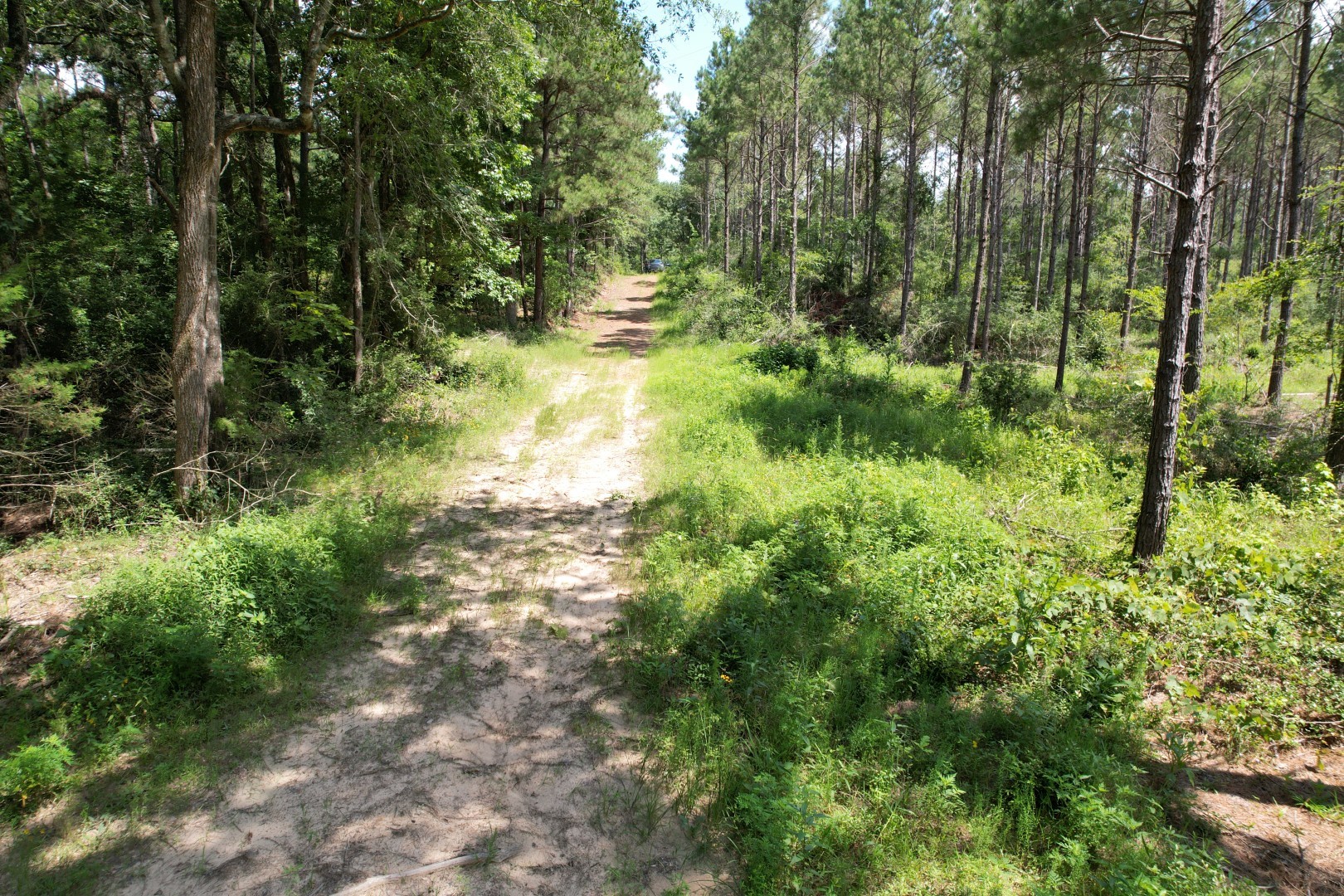 Tbd County Road 3706 Tenaha TX 75974