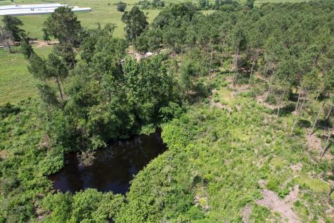 Tbd County Road 3706 Tenaha TX 75974
