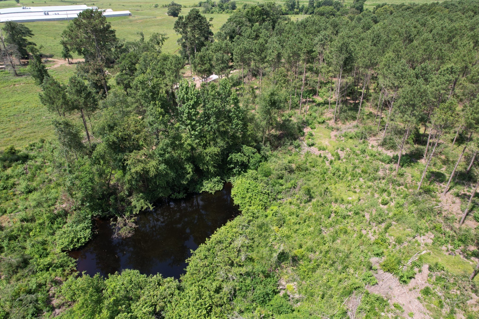 Tbd County Road 3706 Tenaha TX 75974
