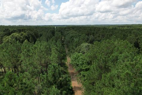 Tbd County Road 3706 Tenaha TX 75974