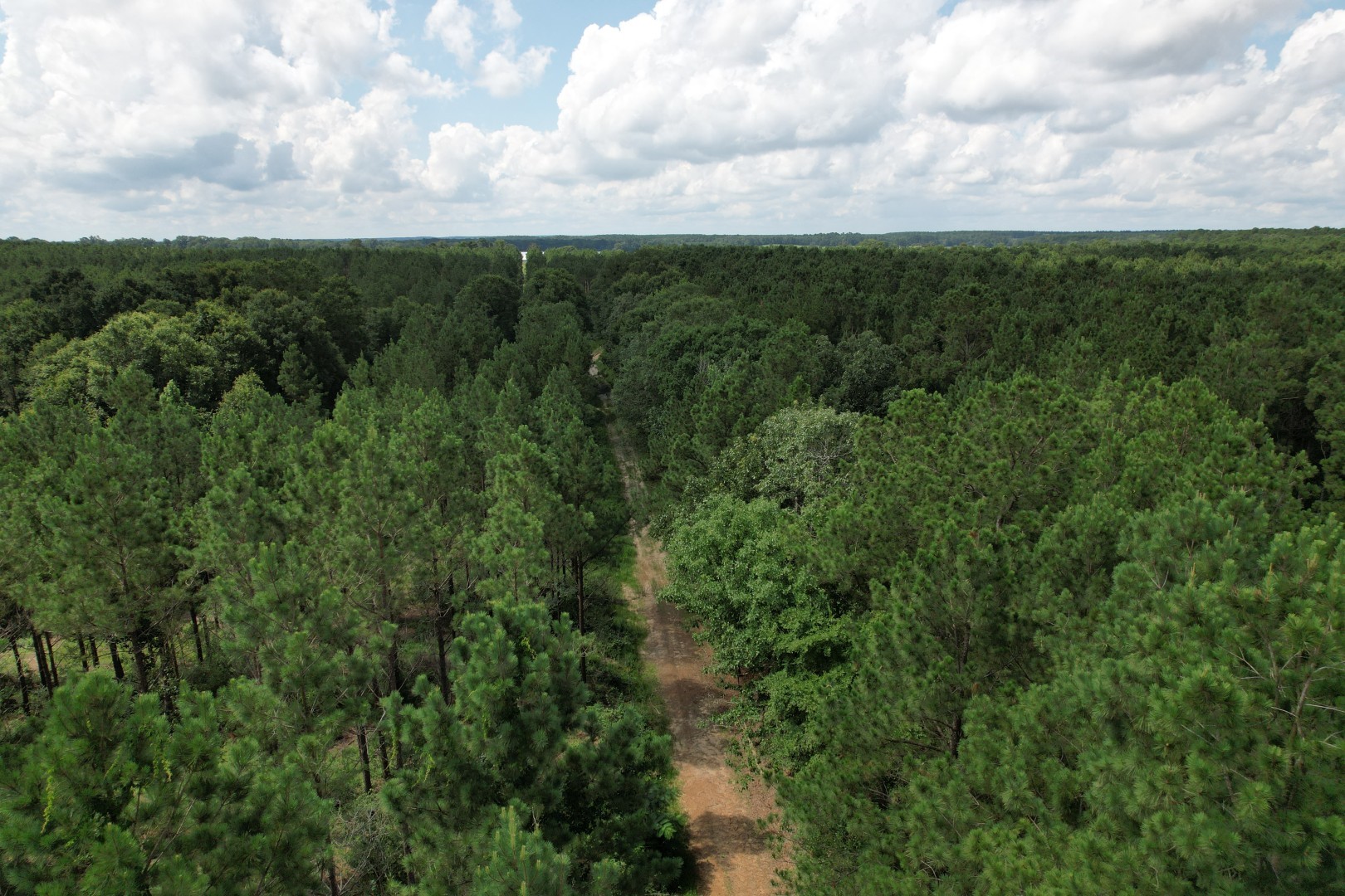 Tbd County Road 3706 Tenaha TX 75974