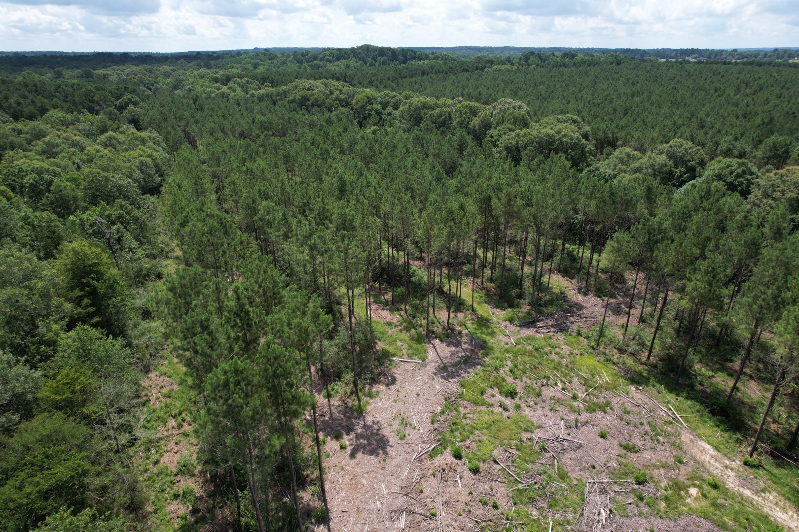 Tbd County Road 3706 Tenaha TX 75974
