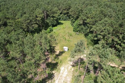 Tbd County Road 3706 Tenaha TX 75974