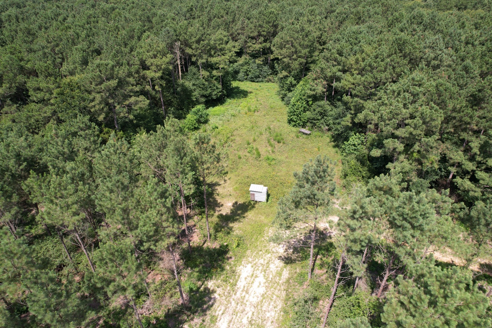 Tbd County Road 3706 Tenaha TX 75974