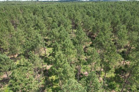 Tbd County Road 3706 Tenaha TX 75974
