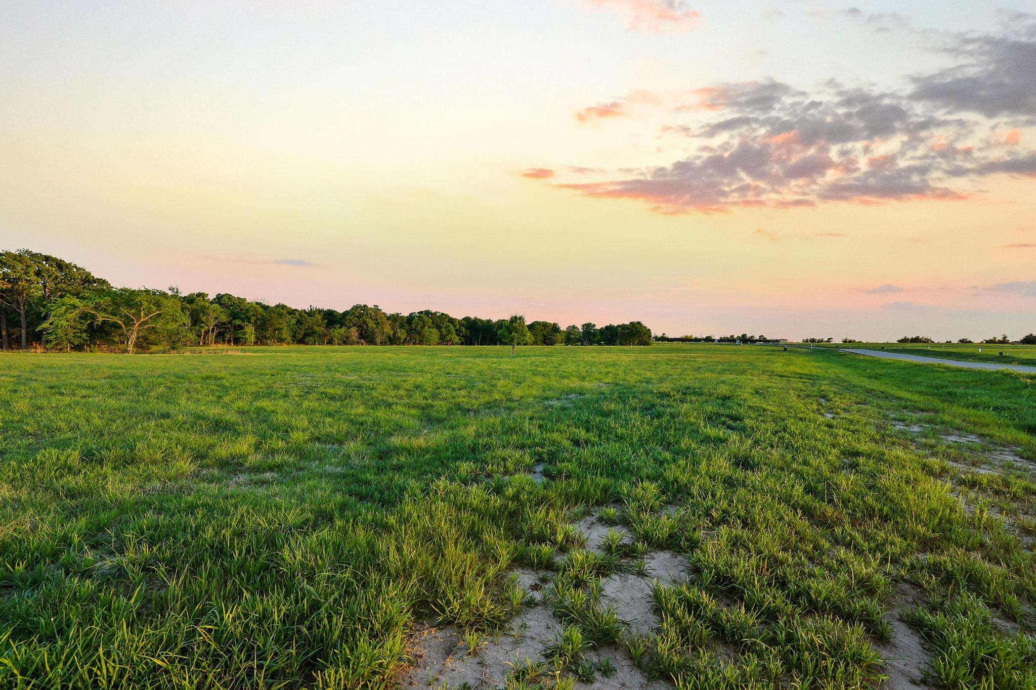 210 Diamond Point Dodd City TX 75438