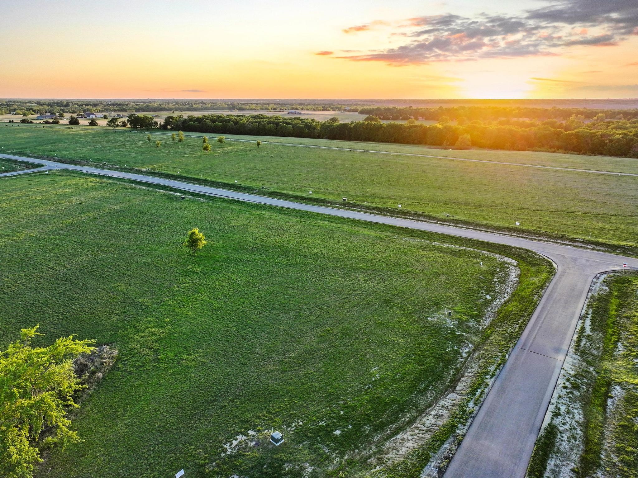 210 Diamond Point Dodd City TX 75438