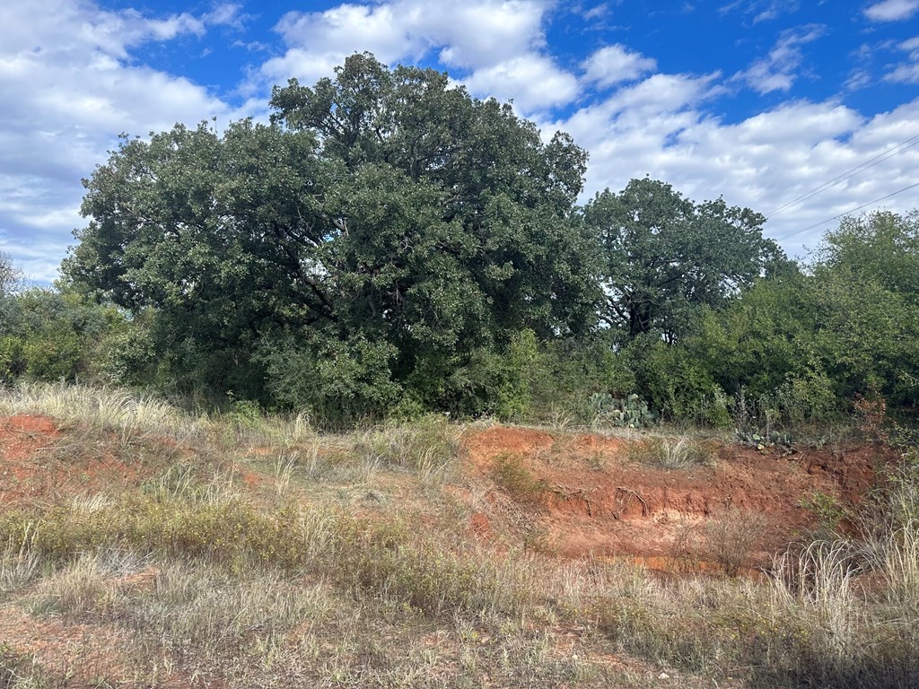 5472 Fm-126 Merkel TX 79536