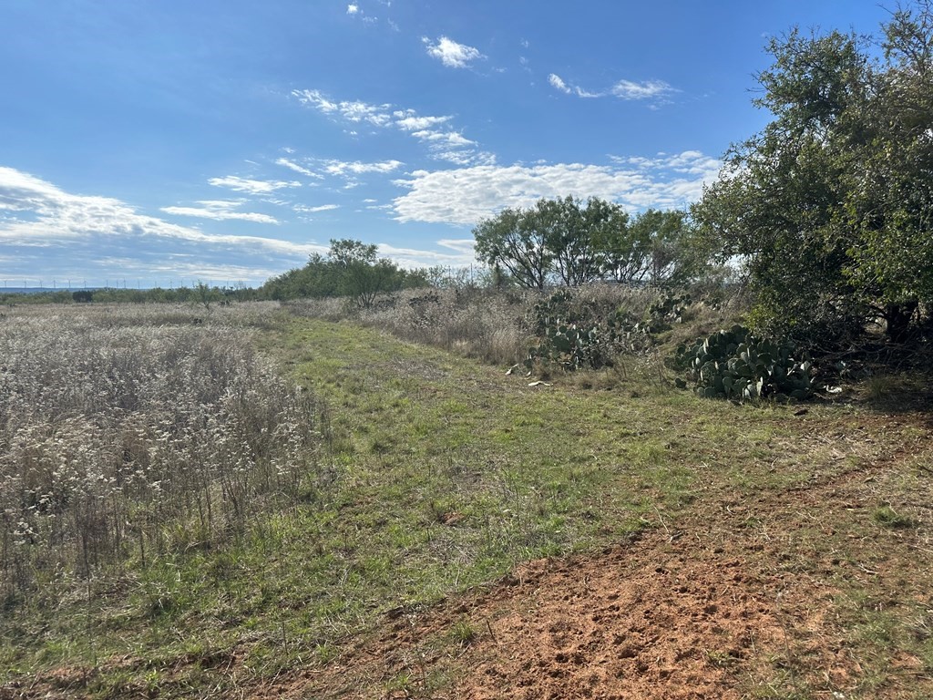 5472 Fm-126 Merkel TX 79536