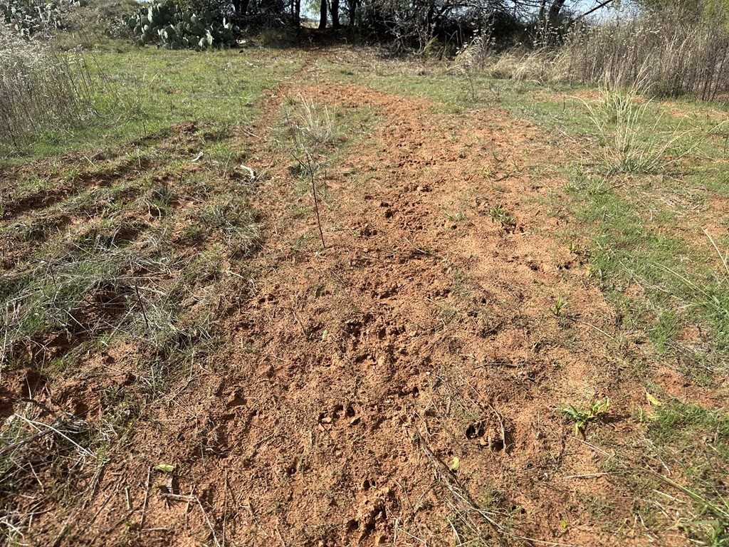 5472 Fm-126 Merkel TX 79536