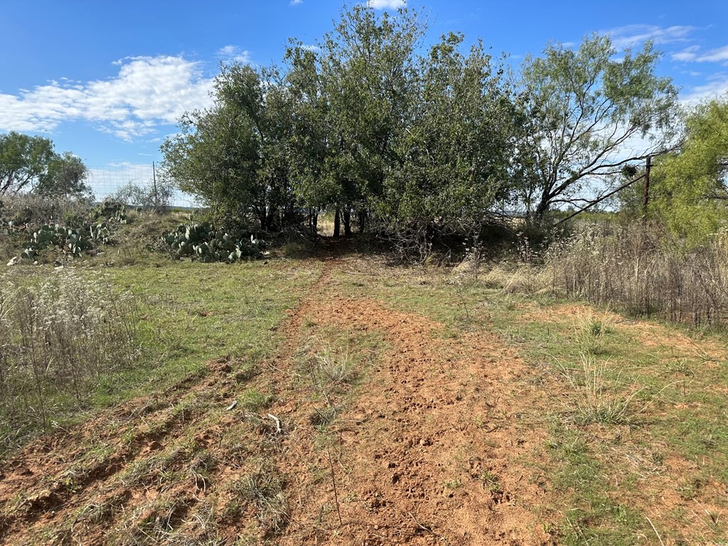 5472 Fm-126 Merkel TX 79536
