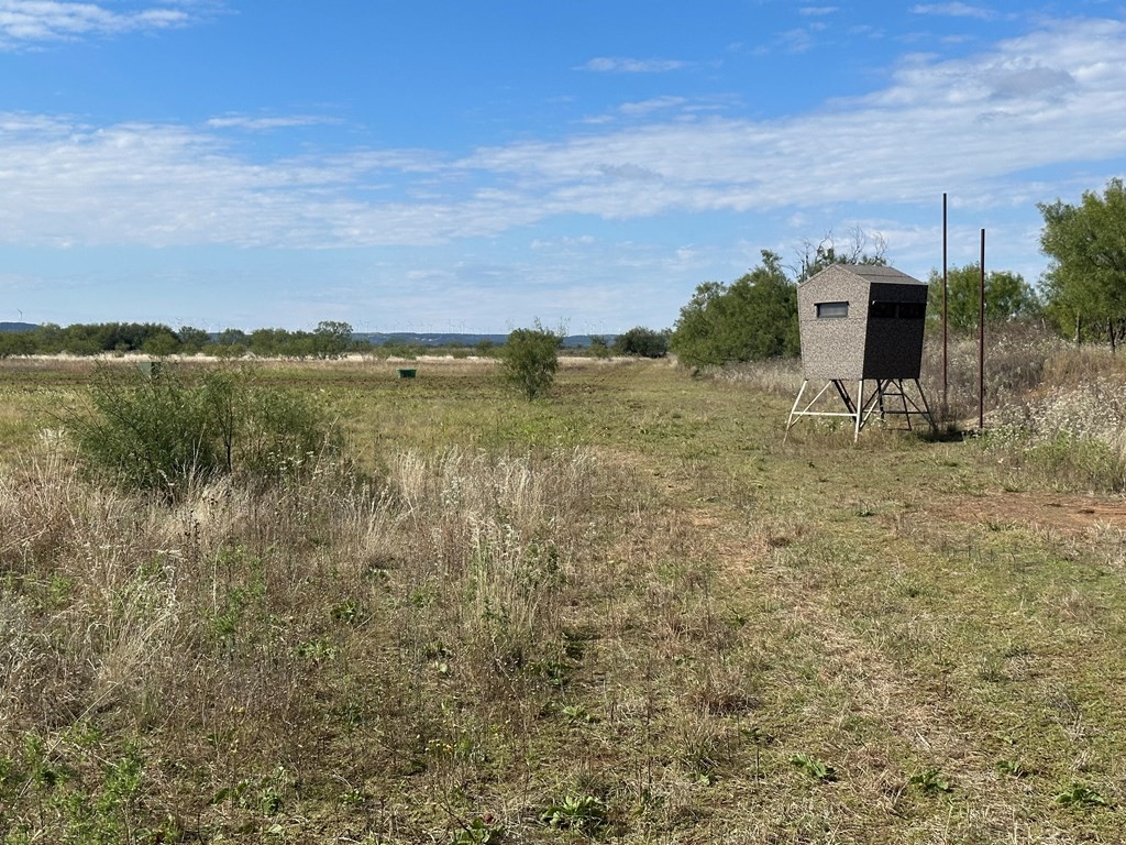 5472 Fm-126 Merkel TX 79536