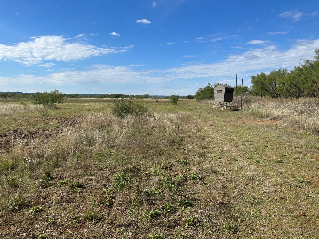 5472 Fm-126 Merkel TX 79536