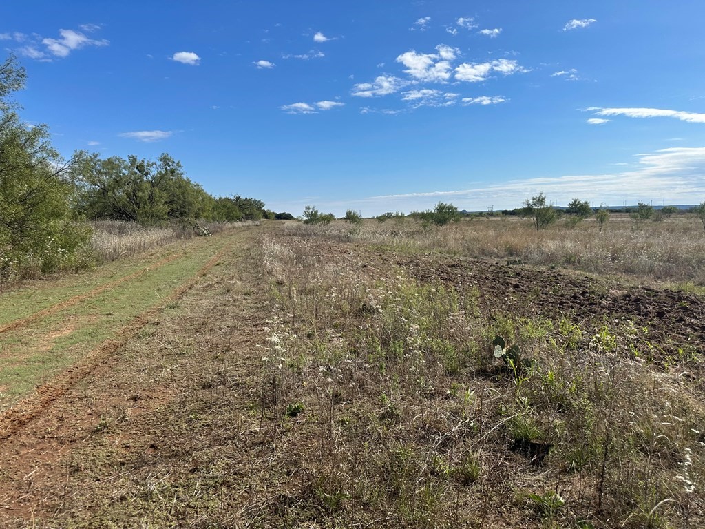 5472 Fm-126 Merkel TX 79536