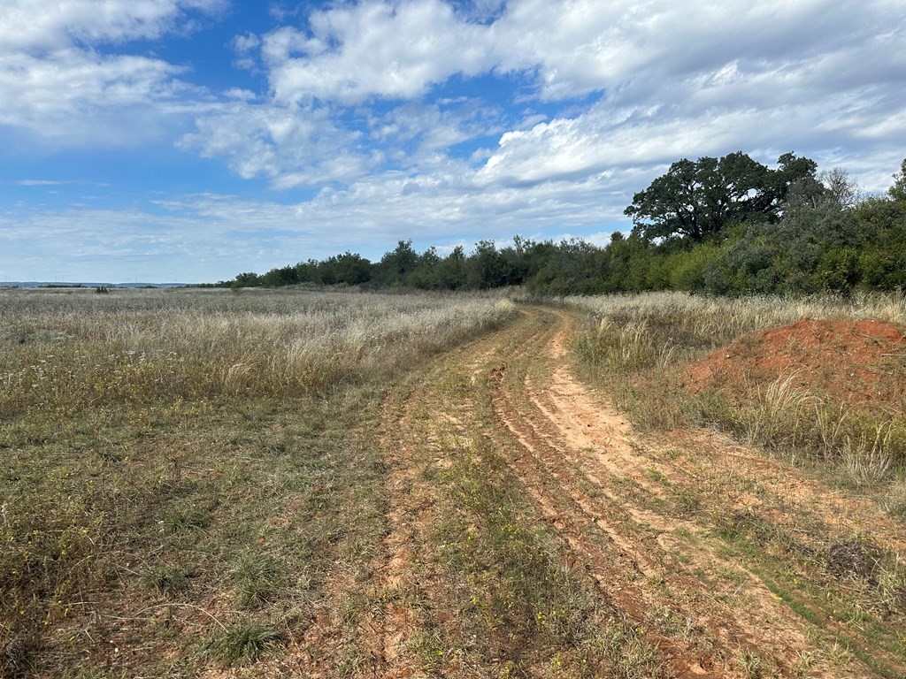 5472 Fm-126 Merkel TX 79536