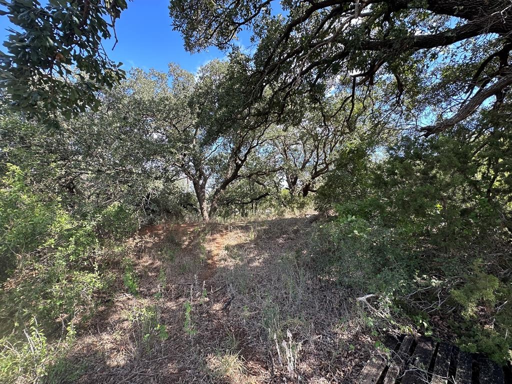 5472 Fm-126 Merkel TX 79536