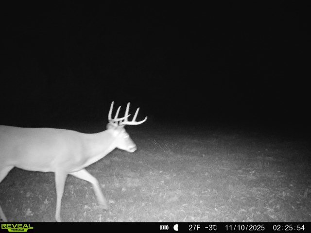 11750 Fm 1159 Clarksville TX 75426