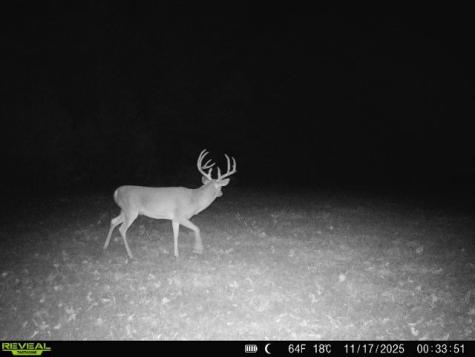 11750 Fm 1159 Clarksville TX 75426