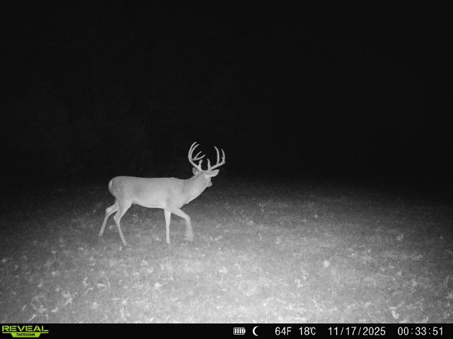 11750 Fm 1159 Clarksville TX 75426