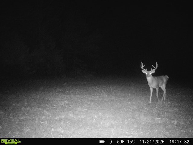11750 Fm 1159 Clarksville TX 75426