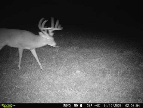 11750 Fm 1159 Clarksville TX 75426
