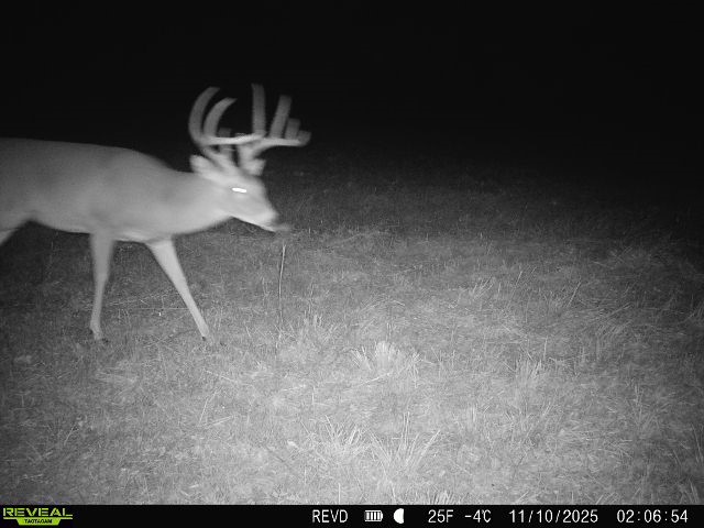11750 Fm 1159 Clarksville TX 75426
