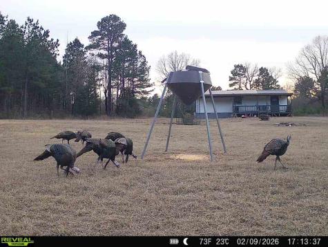 11750 Fm 1159 Clarksville TX 75426