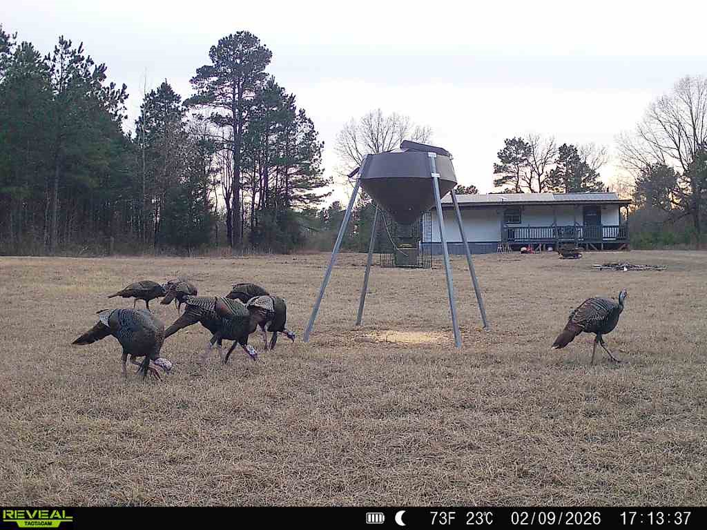 11750 Fm 1159 Clarksville TX 75426