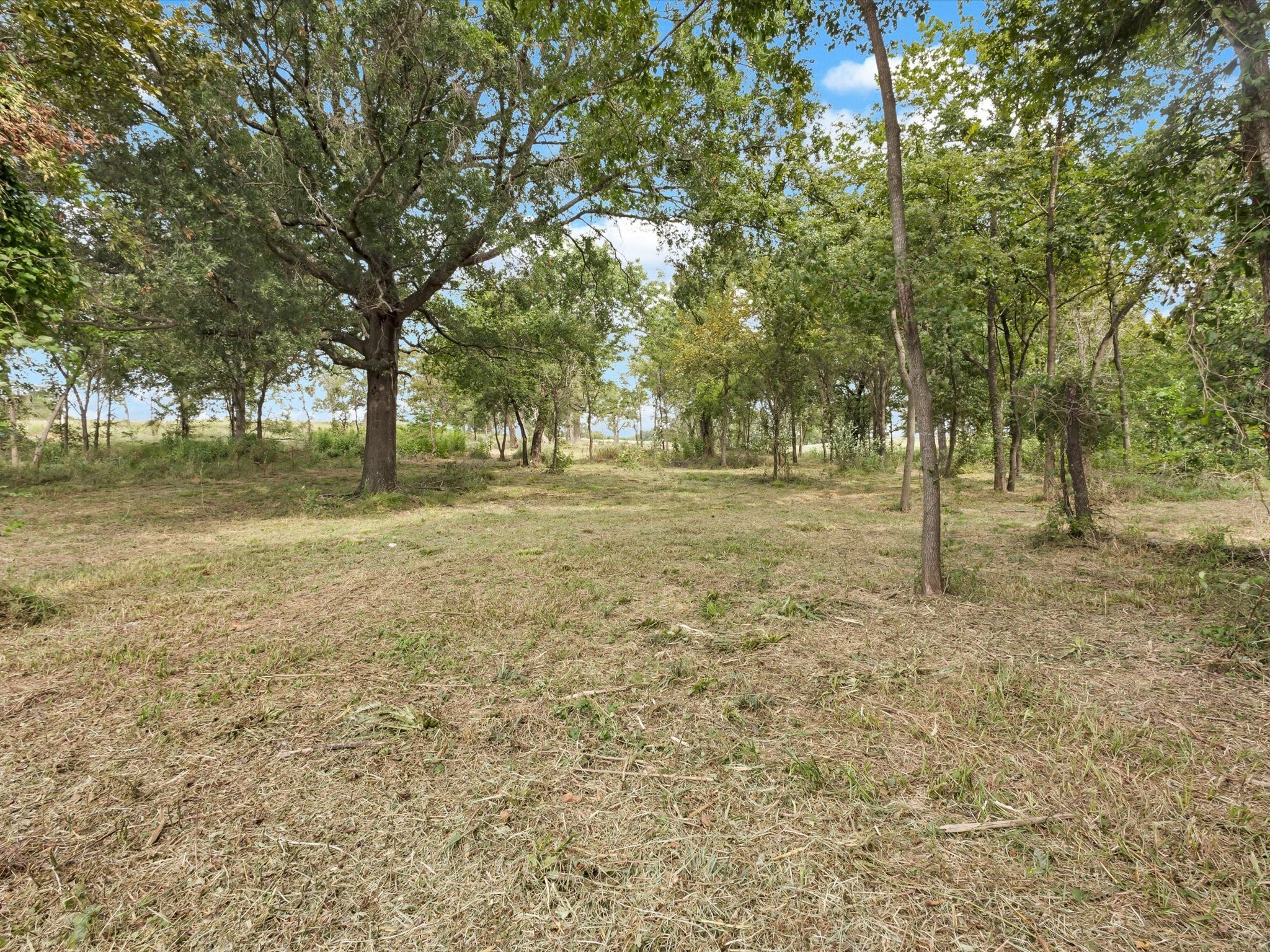Tbd Anglers Point Drive Emory TX 75440
