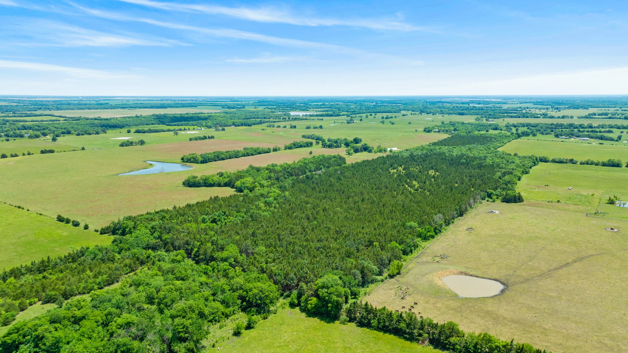 Tbd County Road 15220 Deport TX 75435