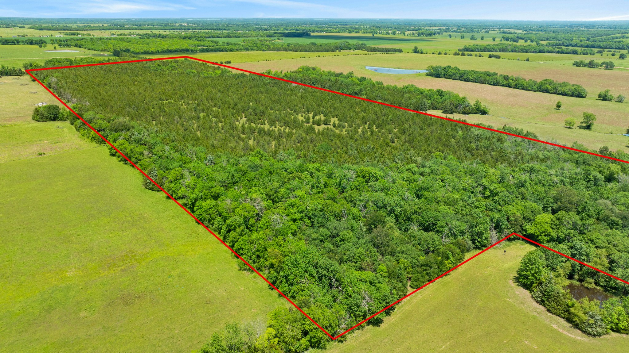 Tbd County Road 15220 Deport TX 75435