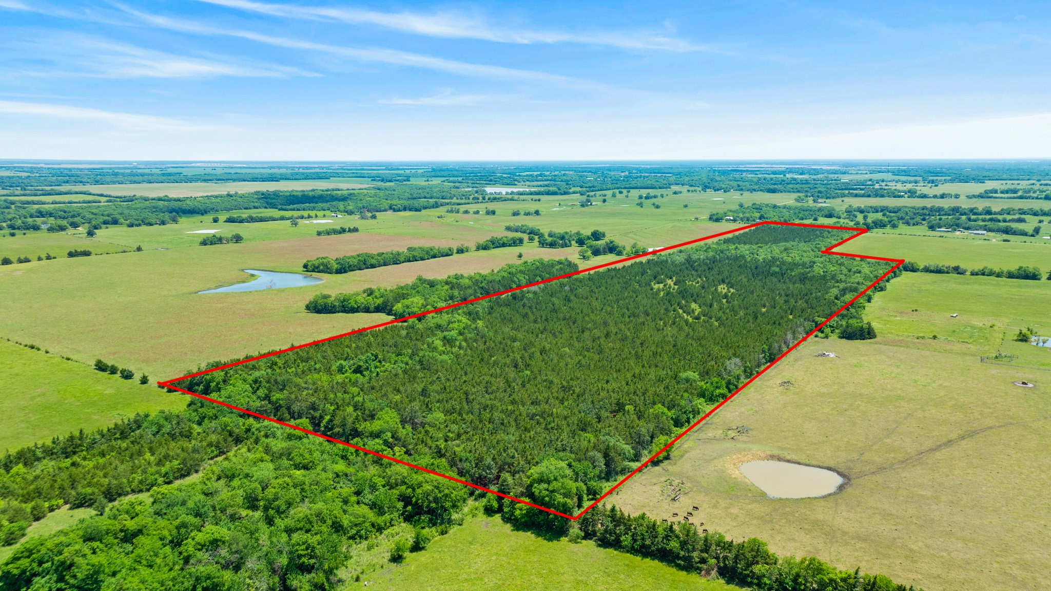 Tbd County Road 15220 Deport TX 75435