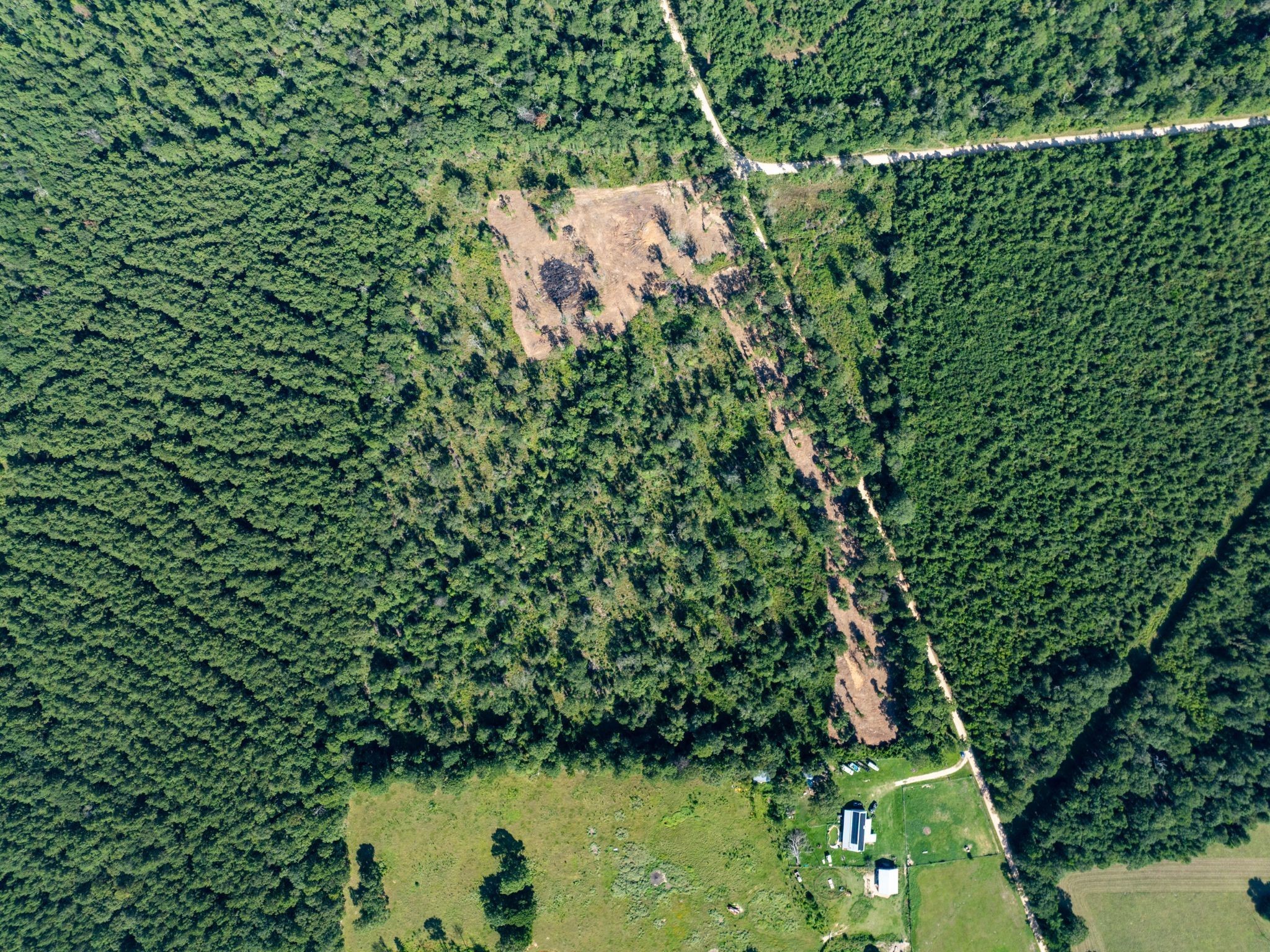 152 Maze Road Livingston TX 77351