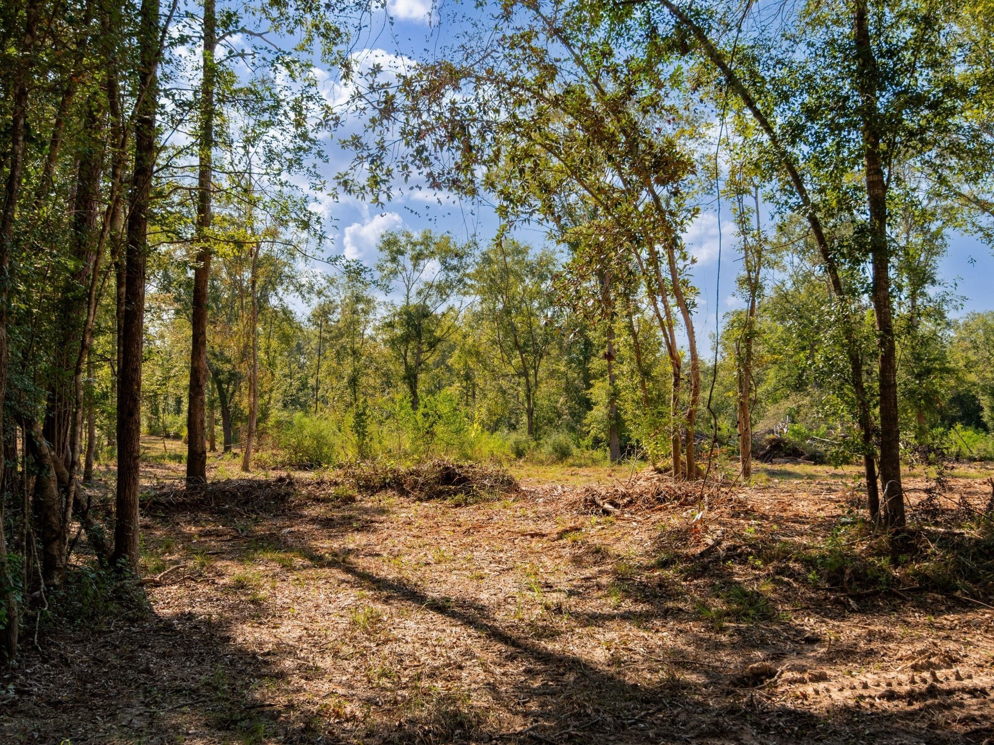 152 Maze Road Livingston TX 77351