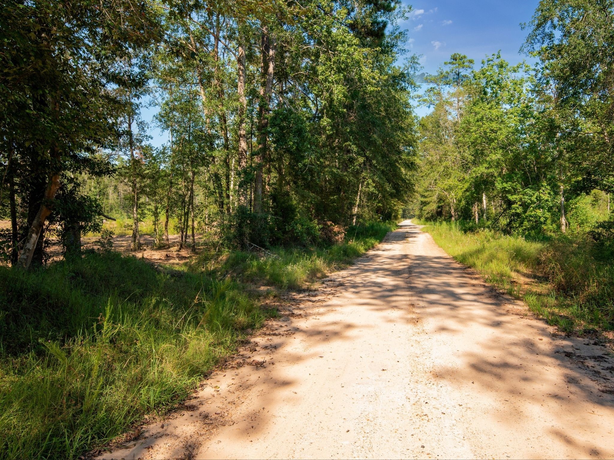 152 Maze Road Livingston TX 77351
