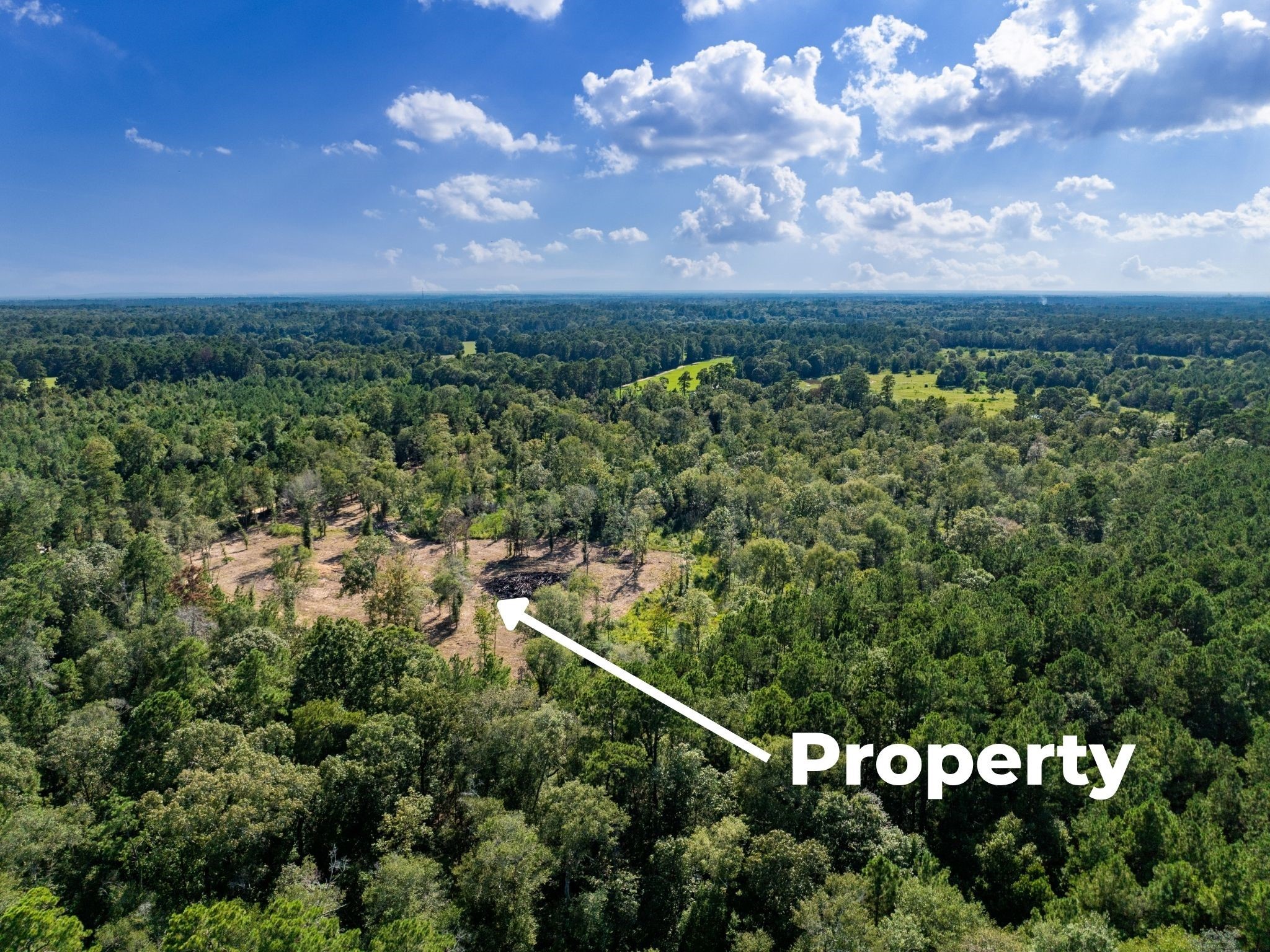 152 Maze Road Livingston TX 77351